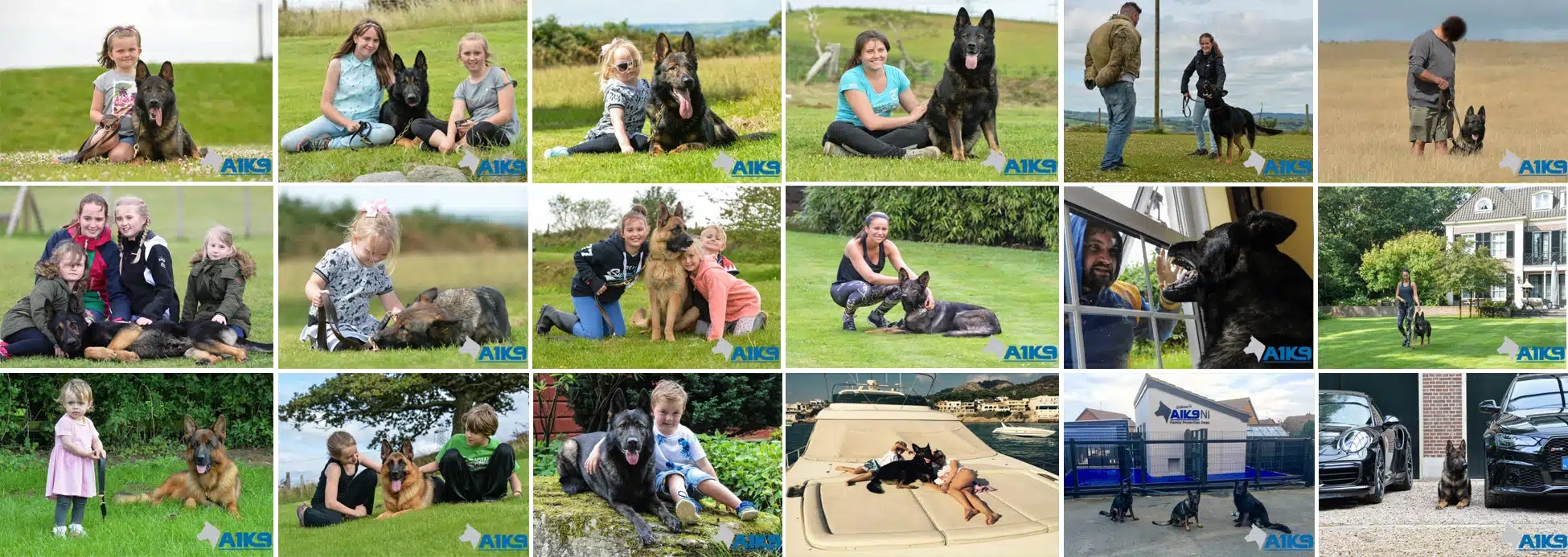 Family Protection Dogs Customer Photos