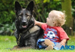 Baby Boy with Family Protection Dog