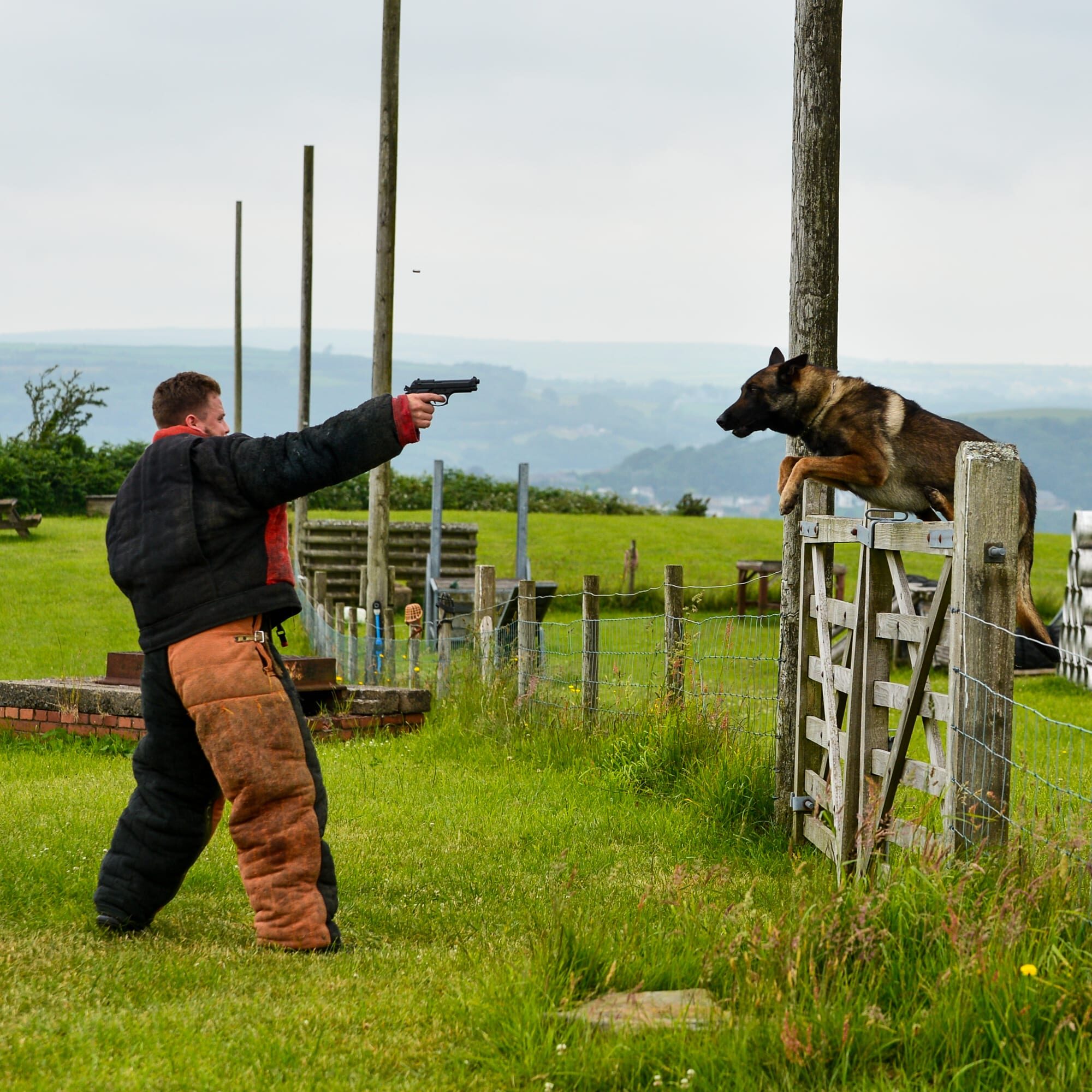 A1K9-Family-Protection-Dog-Tyco-Gun-Banner-1323